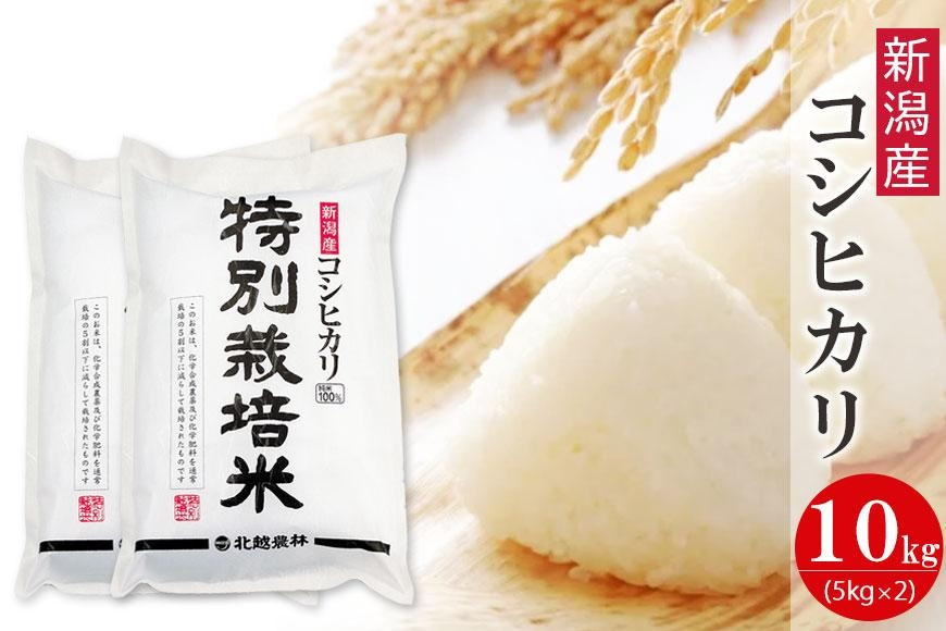 特別栽培米&nbsp;新潟産コシヒカリ&nbsp;10kg&nbsp;&nbsp;令和7年産&nbsp;精米&nbsp;白米