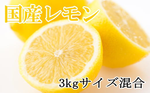 【産直】和歌山産レモン約3kg（サイズ混合）★2024年3月中旬頃より順次発送【TM150】