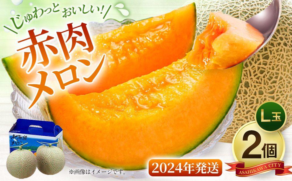 先行予約】北海道「赤肉メロン」L玉×2個（2024年7月中旬発送開始予定
