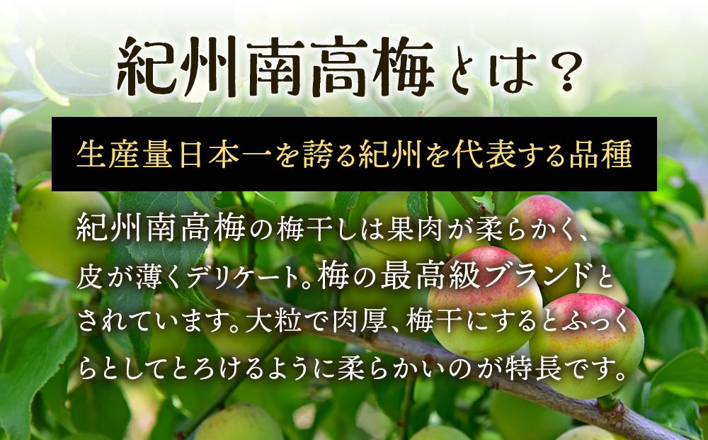 紀州南高梅使用 しそ仕込み完熟梅干し 無選別1kg【TM145】 | JTBのふるさと納税サイト [ふるぽ]