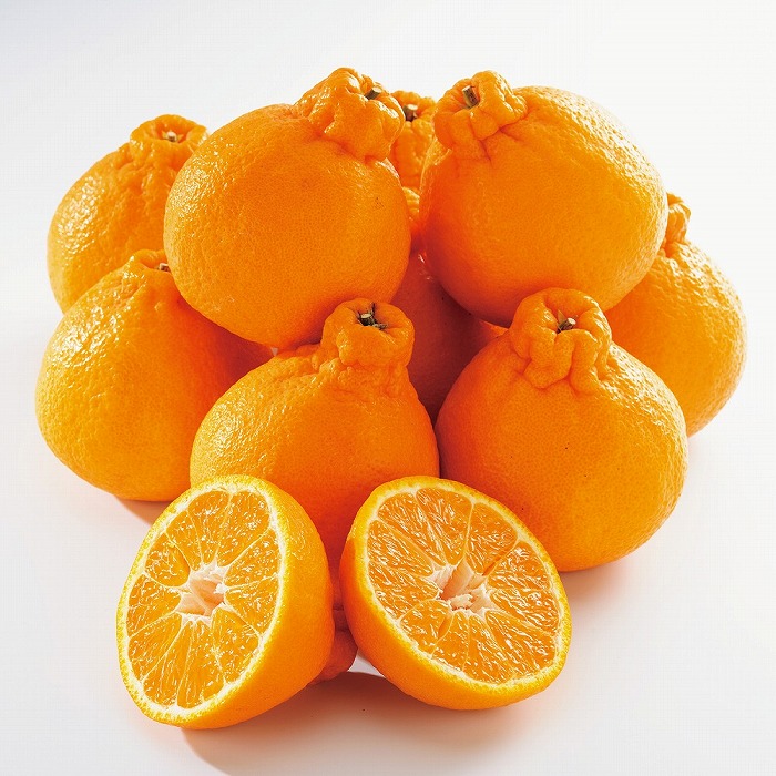 ◆先行予約◆太陽の恵みたっぷりの春柑橘 デコ娘(不知火) 約3kg(赤秀)【2024年3月上旬以降出荷】