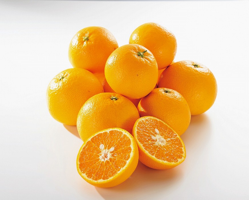 ◆先行予約◆希少柑橘 甘くて爽やかな春柑橘 春峰 約10kg〈赤秀〉【2024年3月上旬以降出荷】