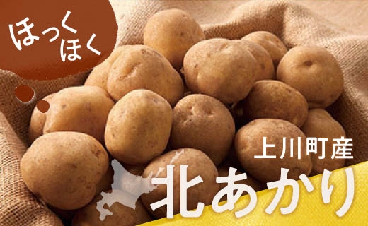 北海道産じゃがいも　北あかり(岸田農園産)