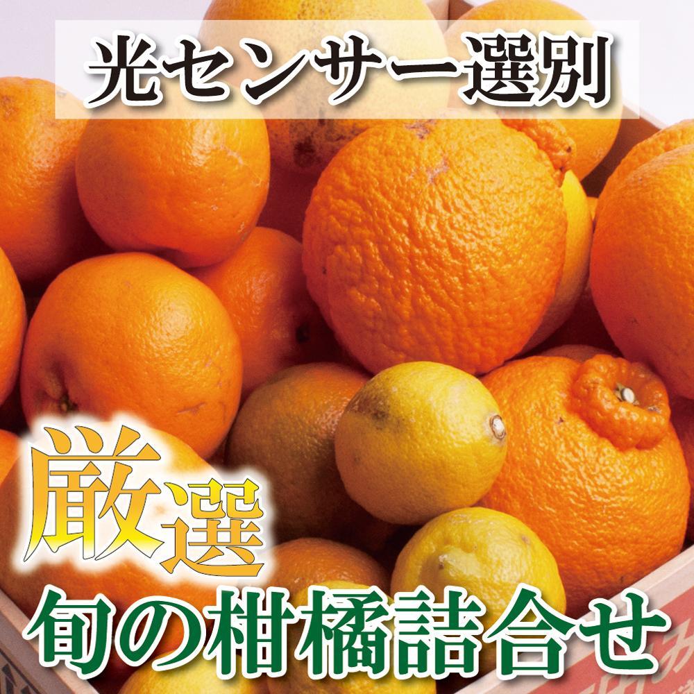 ＜1月より発送＞厳選 柑橘詰合せ3kg+90g（傷み補償分）【有田の春みかん詰め合わせ・フルーツ詰め合せ・オレンジつめあわせ】【光センサー選別】