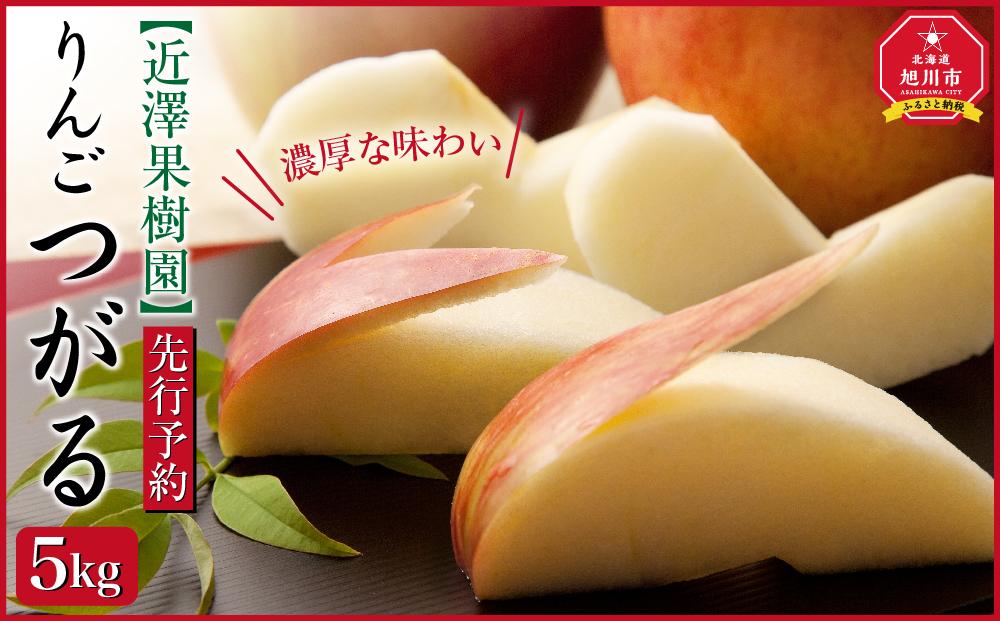 【先行予約】近澤果樹園　りんご「つがる」　5kg(2023年9月下旬順次発送予定)_01177
