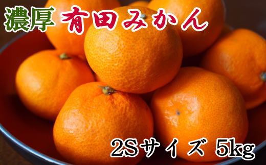 [秀品]和歌山有田みかん約5kg(2Sサイズ) ★2024年11月中旬頃より順次発送【TM83】