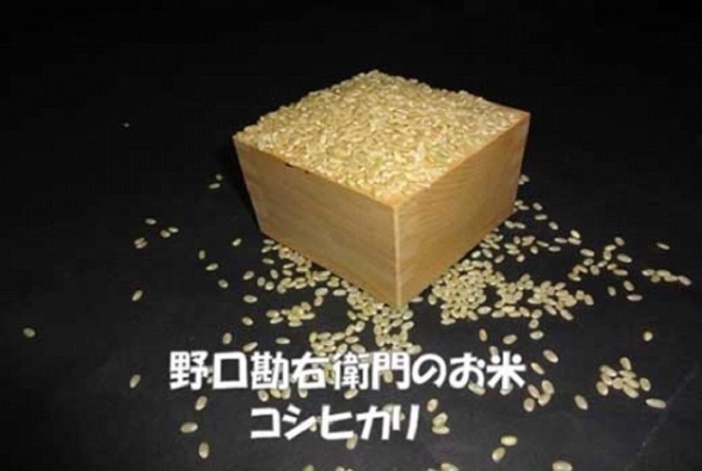 【5年産】野口勘右衛門のお米 「安心栽培米（コシヒカリ）」玄米30kg