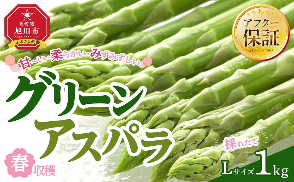 【先行予約】春収穫グリーンアスパラ&nbsp;Lサイズ&nbsp;1kg（2026年6月上旬から発送開始予定）【&nbsp;アスパラ&nbsp;アスパラガス&nbsp;朝採り&nbsp;とれたて&nbsp;野菜&nbsp;旬&nbsp;小分け&nbsp;保存&nbsp;産直&nbsp;産地直送&nbsp;お取り寄せ&nbsp;旭川市&nbsp;北海道&nbsp;】_00442