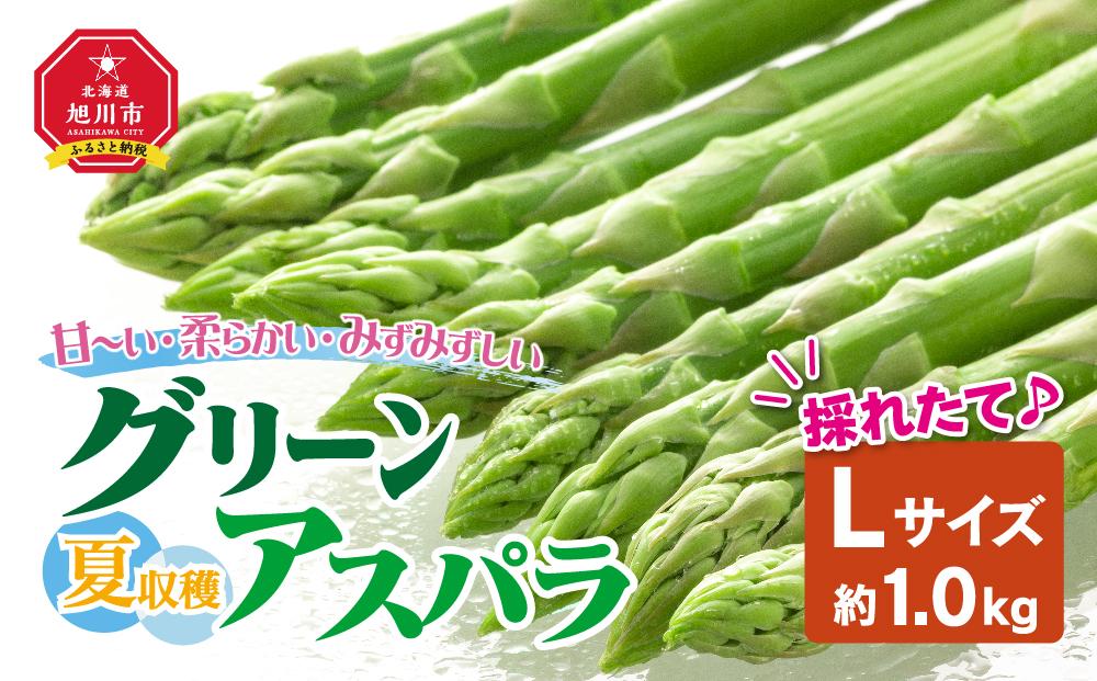 夏収穫グリーンアスパラ Lサイズ 1kg（2025年7月上旬～発送開始予定）【 アスパラ アスパラガス 朝採り とれたて 野菜 旬 小分け 保存 産直 産地直送 お取り寄せ 旭川市 北海道 】_00414