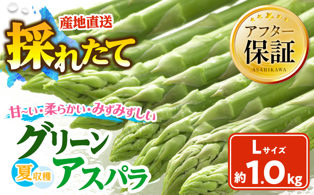 【2026年先行予約】夏収穫グリーンアスパラ&nbsp;Lサイズ&nbsp;1kg（2026年7月上旬から発送開始予定）【&nbsp;アスパラ&nbsp;アスパラガス&nbsp;朝採り&nbsp;とれたて&nbsp;野菜&nbsp;旬&nbsp;小分け&nbsp;保存&nbsp;産直&nbsp;産地直送&nbsp;お取り寄せ&nbsp;旭川市&nbsp;北海道&nbsp;】_00414