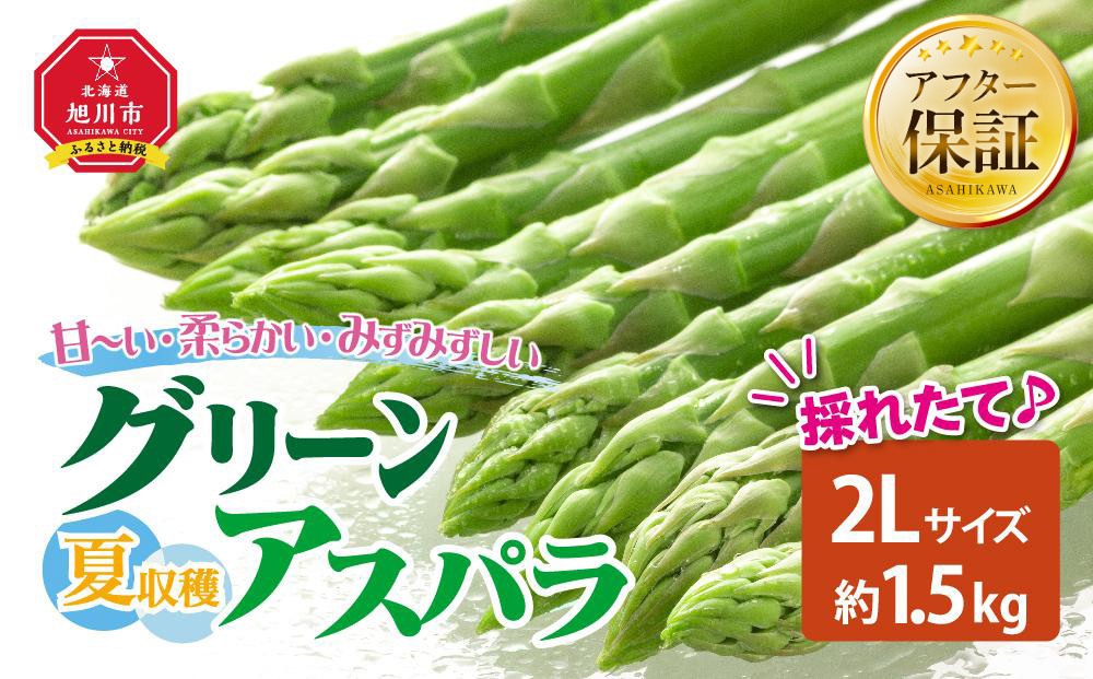【2026年先行予約】夏収穫グリーンアスパラ&nbsp;2Lサイズ&nbsp;1.5kg（2026年7月下旬から発送開始予定）【&nbsp;アスパラ&nbsp;アスパラガス&nbsp;朝採り&nbsp;とれたて&nbsp;野菜&nbsp;旬&nbsp;小分け&nbsp;保存&nbsp;産直&nbsp;産地直送&nbsp;お取り寄せ&nbsp;旭川市&nbsp;北海道&nbsp;】_00415