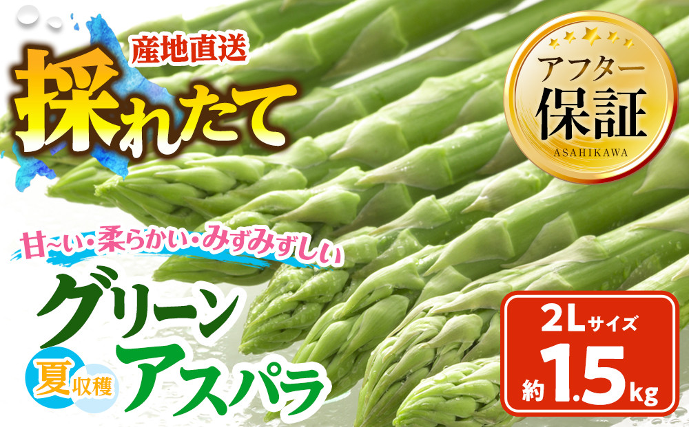 【2026年先行予約】夏収穫グリーンアスパラ&nbsp;2Lサイズ&nbsp;1.5kg（2026年7月下旬から発送開始予定）【&nbsp;アスパラ&nbsp;アスパラガス&nbsp;朝採り&nbsp;とれたて&nbsp;野菜&nbsp;旬&nbsp;小分け&nbsp;保存&nbsp;産直&nbsp;産地直送&nbsp;お取り寄せ&nbsp;旭川市&nbsp;北海道&nbsp;】_00415