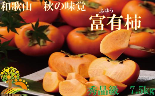 和歌山秋の味覚　富有柿 （ふゆうがき）秀品 約7.5kg【2021年10月中旬～11月下旬に発送予定】