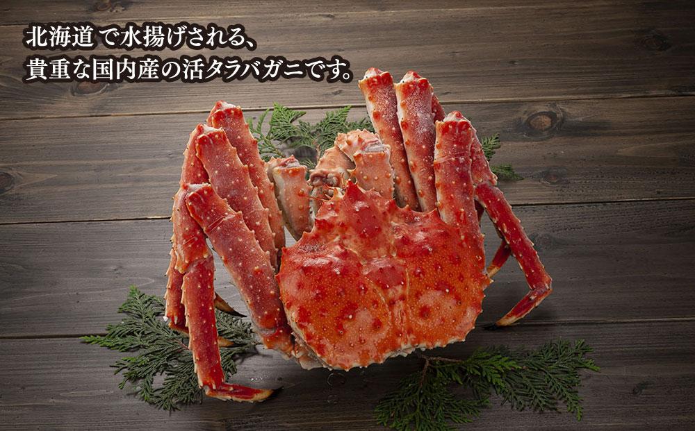 北海道産 タラバガニ 姿 1尾 3.0kg（冷凍） | JTBのふるさと納税サイト