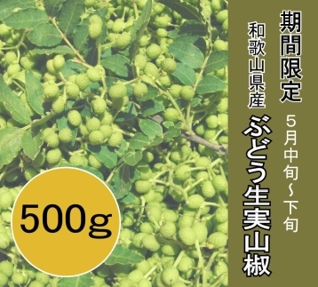 ぶどう生山椒 500ｇ 期間限定商品 Jtbのふるさと納税サイト ふるぽ