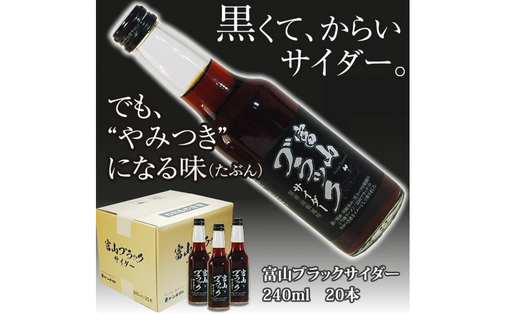ブラックサイダー&nbsp;1ケース２0本　炭酸飲料&nbsp;サイダー&nbsp;ソフトドリンク&nbsp;黒いサイダー&nbsp;&nbsp;炭酸&nbsp;水分補給&nbsp;リフレッシュ&nbsp;爽快感&nbsp;清涼飲料&nbsp;富山限定&nbsp;&nbsp;大人向け&nbsp;子供向け&nbsp;祝い用&nbsp;食品&nbsp;乾杯用&nbsp;誕生日&nbsp;クリスマス&nbsp;人気&nbsp;おすすめ&nbsp;送料無料