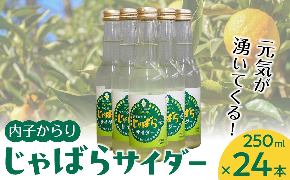 道の駅からり直送！内子からりじゃばらサイダー（250ml×２４本入り）【飲料 ソフトドリンク 人気 おすすめ 送料無料】