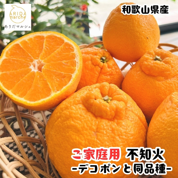 ［先行予約］有田育ちの濃厚&nbsp;不知火（訳あり&nbsp;家庭用）2.5kg［MS40］