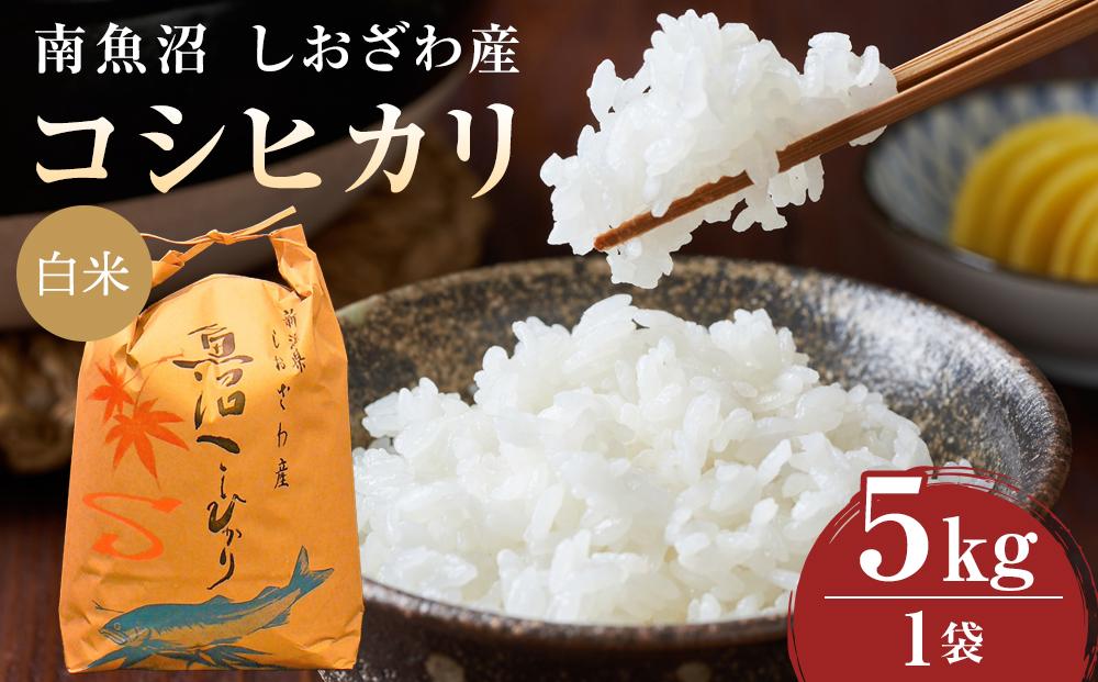 【令和６年度産  新米予約】《語り伝えられる地》南魚沼しおざわ産コシヒカリ５Ｋｇ（白米）