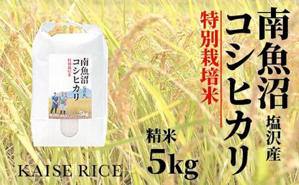 【令和7年産】【定期便】南魚沼産塩沢コシヒカリ【従来品種】（特別栽培米８割減農薬）精米５ｋｇ×全３回