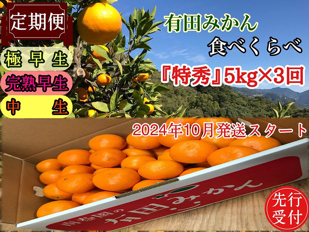 定期便 先行受付 2024年 10月発送スタート 有田みかん 食べくらべ 3種 特秀 各 5kg コース 全3回 南泰園