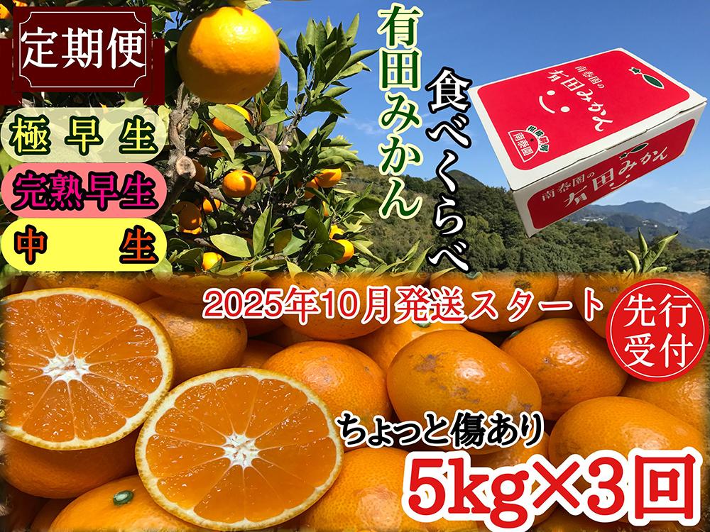 定期便 先行受付 2025年 10月発送スタート 有田みかん 食べくらべ 3種 ちょっと傷あり 5kg × 3回 コース 南泰園