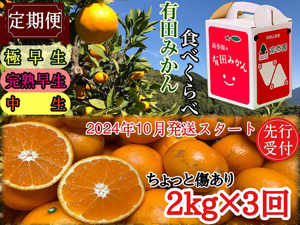 定期便 先行受付2024年 10月発送スタート ちょっと 傷あり 2kg × 3回 コース 有田みかん 食べくらべ 3種 南泰園