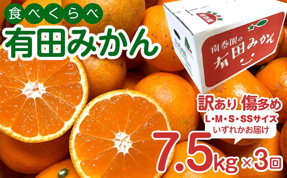 定期便 訳あり 傷多め 7.5kg × 3回 コース 有田みかん 食べくらべ 3種 全3回 南泰園