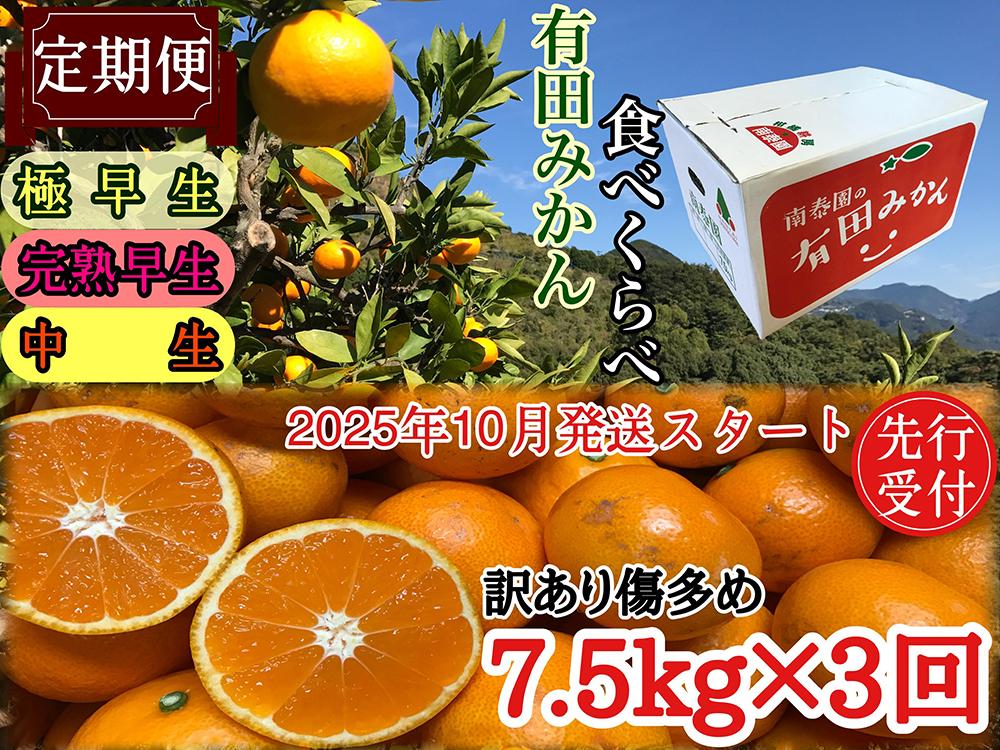 定期便 先行受付 2025年 10月発送スタート 訳あり 傷多め 7.5kg × 3回 コース 有田みかん 食べくらべ 3種 南泰園