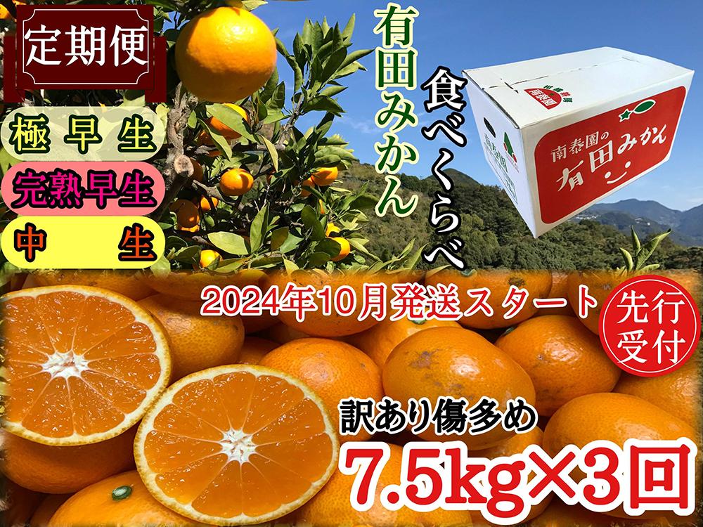 定期便 先行受付 2024年 10月発送スタート 訳あり 傷多め 7.5kg × 3回 コース 有田みかん 食べくらべ 3種 南泰園