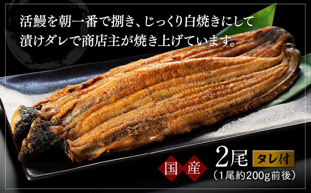 国産活鰻を地元の醤油で仕上げた絶品のうなぎ蒲焼(2尾） | JTBの