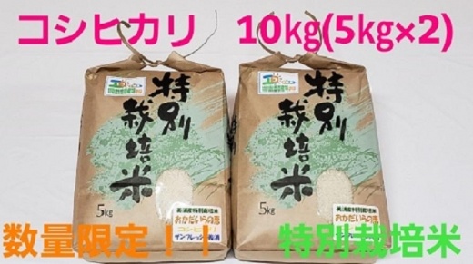 令和3年産 コシヒカリ10kg（5kg×2）特別栽培米『おかだいらの恵』