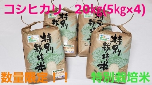 令和3年産 コシヒカリ20kg（5kg×4）特別栽培米『おかだいらの恵』