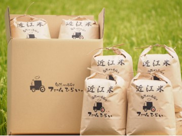 ◆【令和5年産】ファーム・ひらい　環境こだわり米コシヒカリ（白米5kg×6）