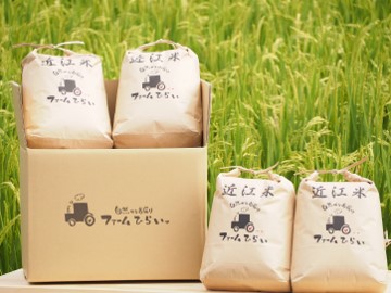 ◆【令和5年産】ファーム・ひらい　環境こだわり米コシヒカリ（白米5kg×2・玄米5kg×2）