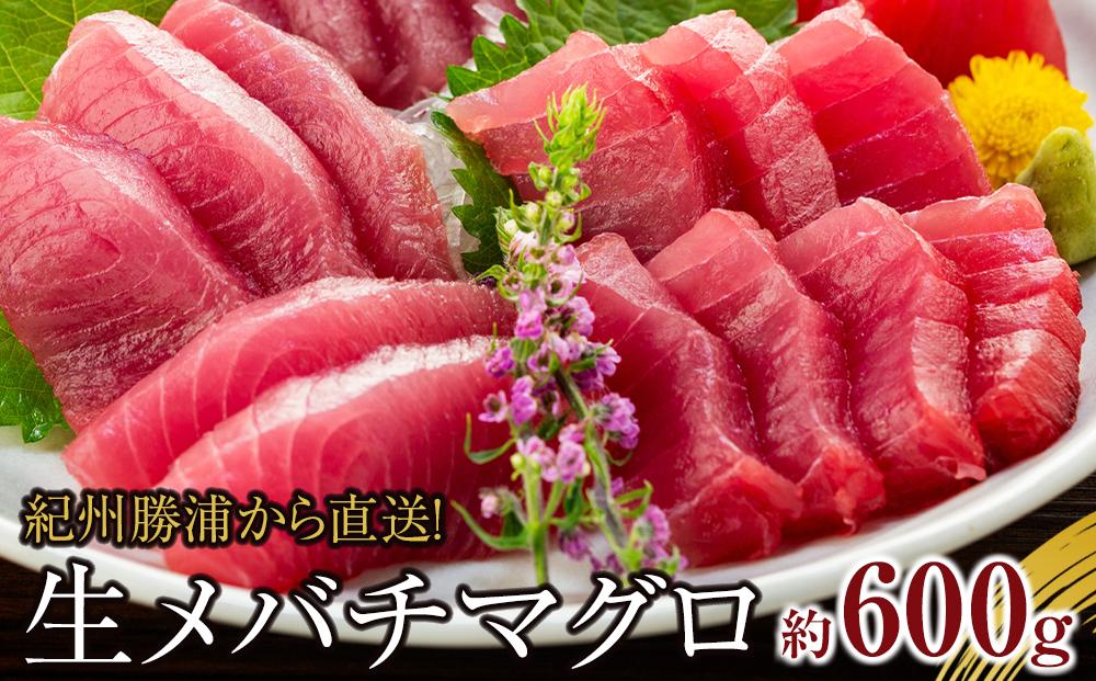 生まぐろの本場紀州勝浦から直送！　生メバチマグロ 約600g