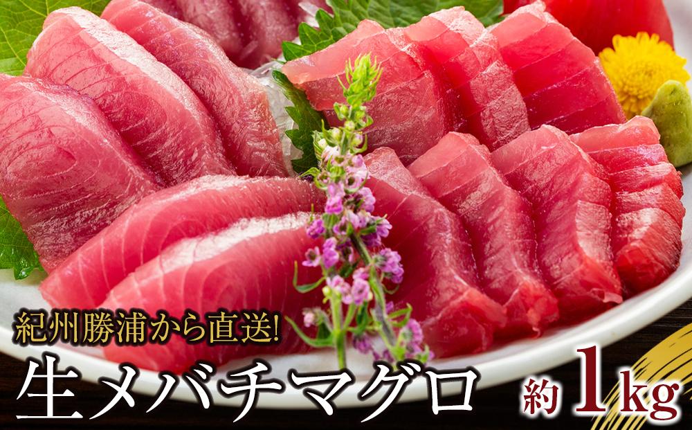 生まぐろの本場紀州勝浦から直送！　生メバチマグロ 約1kg