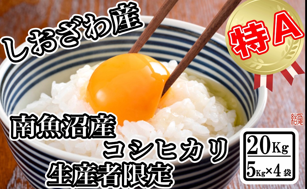 生産者限定 契約栽培】南魚沼しおざわ産コシヒカリ20kg（５kg×4袋） | JTBのふるさと納税サイト [ふるぽ]