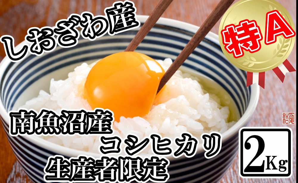 【令和7年産】【生産者限定&nbsp;契約栽培】南魚沼しおざわ産コシヒカリ2kg