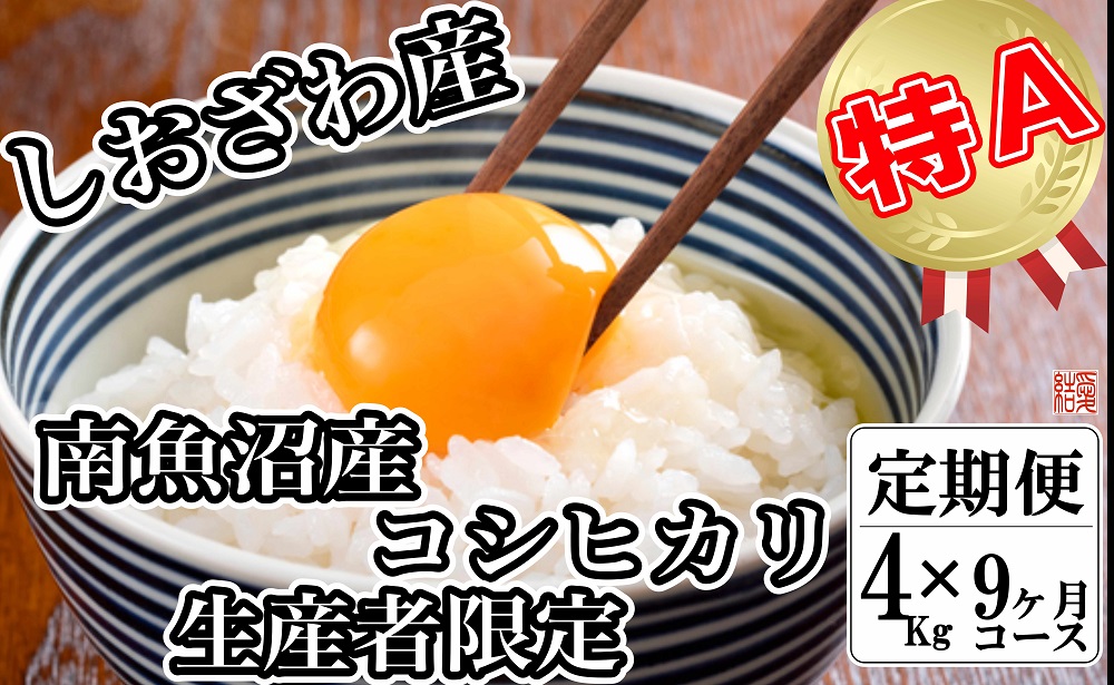 定期便／４kg×9ヶ月】生産者限定 契約栽培 南魚沼しおざわ産コシヒカリ