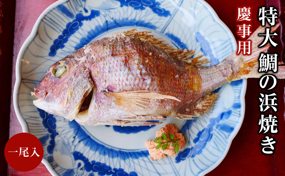 慶事用&nbsp;特大&nbsp;鯛の浜焼き&nbsp;一尾入【たい&nbsp;天然&nbsp;真鯛&nbsp;魚&nbsp;魚介&nbsp;ギフト&nbsp;お食い初め&nbsp;郷土料理&nbsp;尾道】