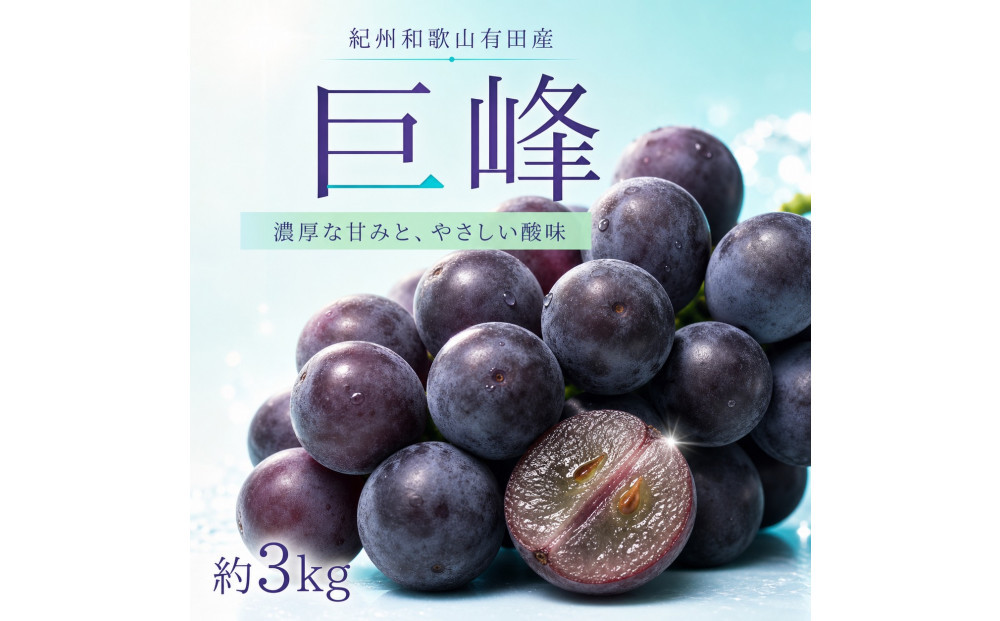 紀州有田産の巨峰ぶどう約３kg【先行予約】【2026年8月下旬以降発送予定】