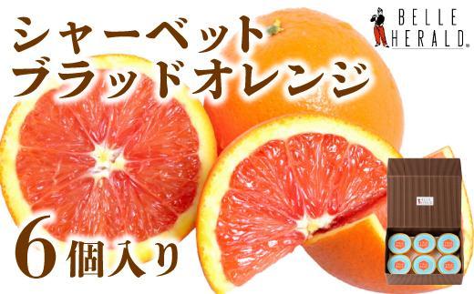 【地中海の真っ赤な果実】ブラッドオレンジのシャーベット６個入 スイーツ