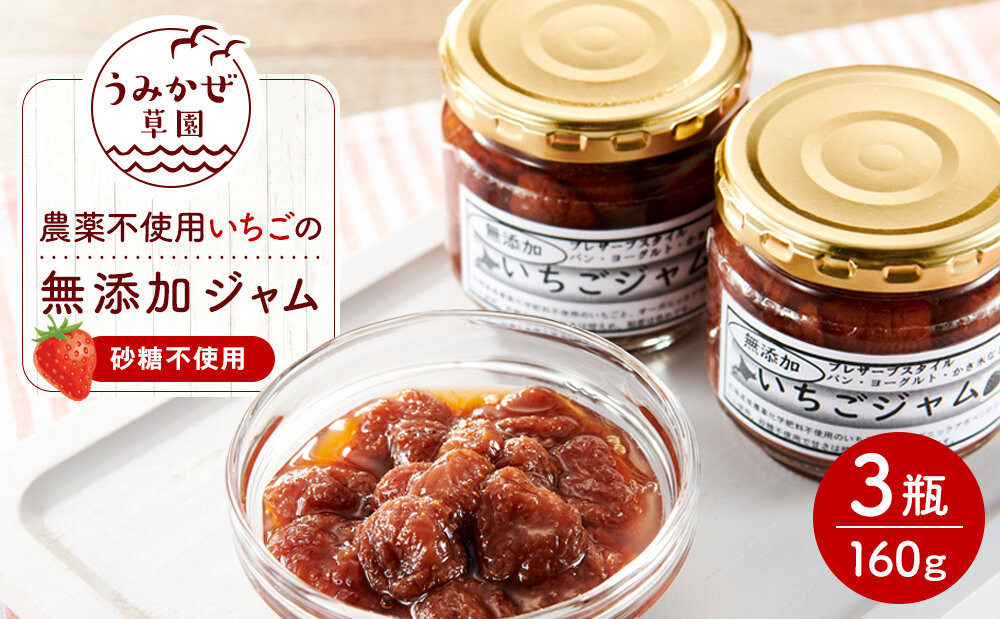 いちごの無添加ジャム（農薬不使用栽培・砂糖不使用）160g×3瓶