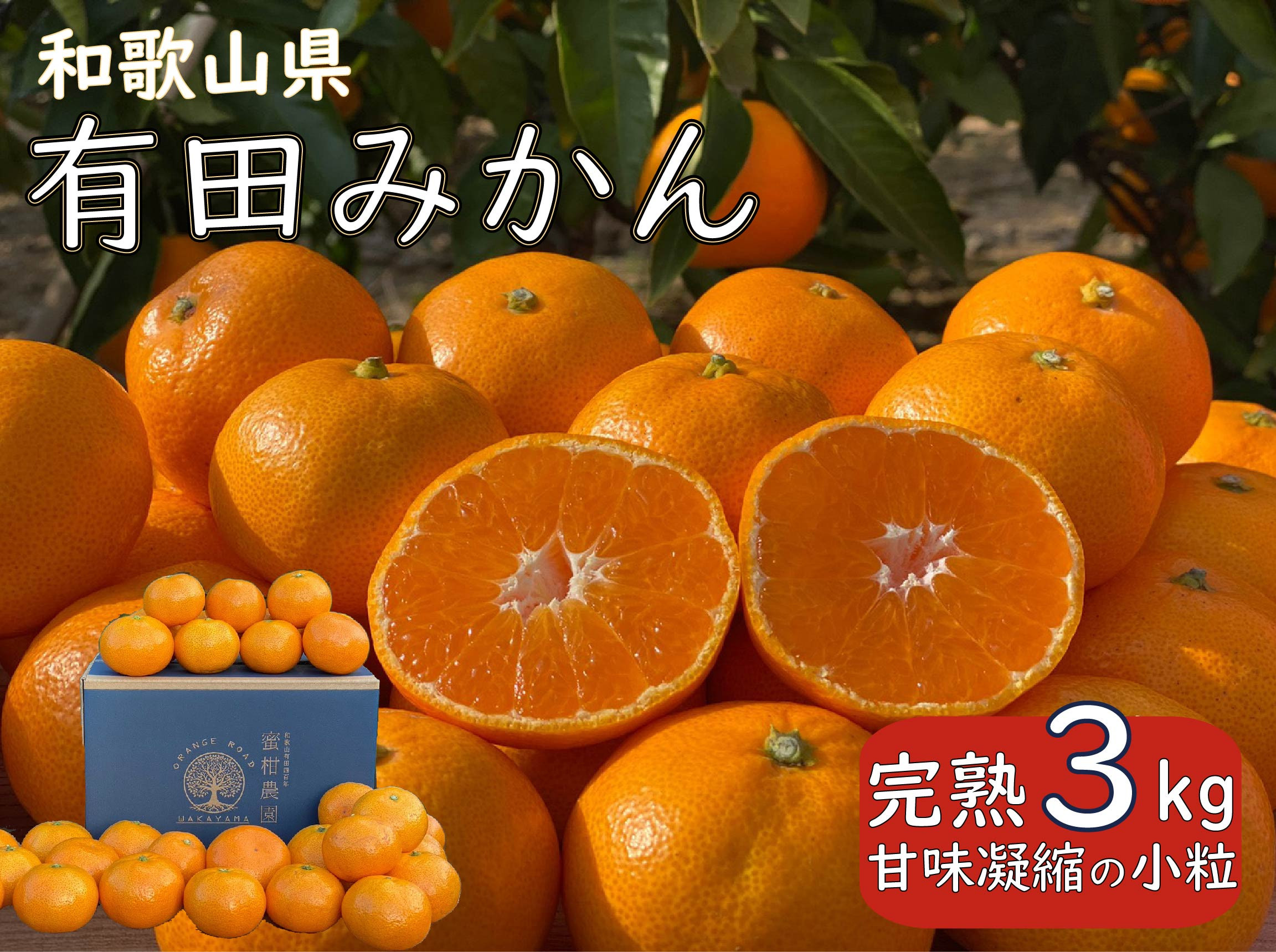 先行予約 和歌山県 完熟 有田みかん 3kg 甘味凝縮 小粒 産直44年 武内園