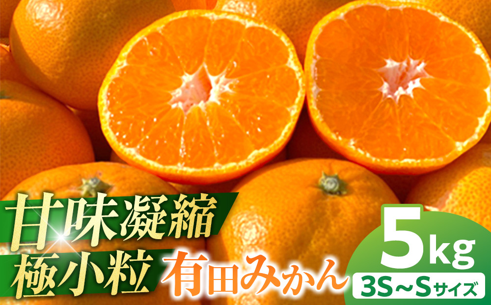完熟&nbsp;小粒&nbsp;有田みかん&nbsp;5kg&nbsp;甘味凝縮&nbsp;和歌山県産&nbsp;産直45年&nbsp;武内園&nbsp;有田みかん&nbsp;みかん&nbsp;濃厚有田みかん&nbsp;濃厚みかん&nbsp;みかん&nbsp;小粒みかん&nbsp;小さいみかん&nbsp;みかん&nbsp;オレンジロードYY&nbsp;産直&nbsp;みかん&nbsp;和歌山みかん&nbsp;和歌山県産みかん&nbsp;みかん&nbsp;みかん&nbsp;有田みかん&nbsp;数量限定【みかん&nbsp;ミカン&nbsp;みかん&nbsp;mikan&nbsp;みかん&nbsp;ミカン&nbsp;みかん&nbsp;ミカン&nbsp;みかん&nbsp;ミカン&nbsp;みかん&nbsp;ミカン&nbsp;みかん&nbsp;ミカン】