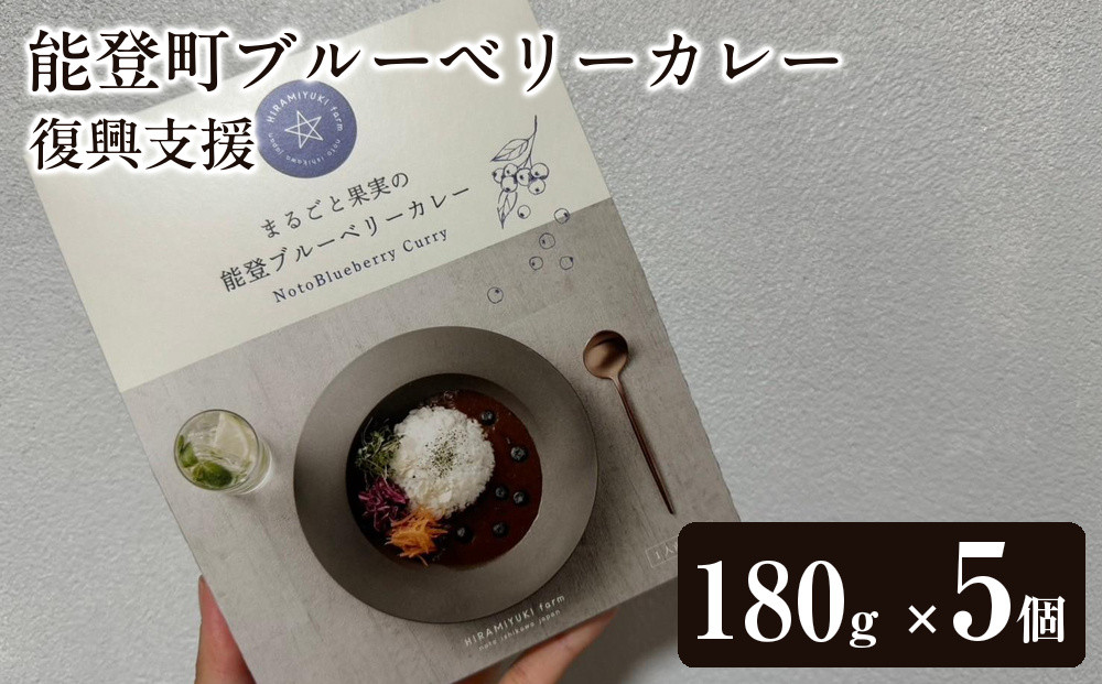 【復興支援】【奥能登プレミアム】能登町ブルーベリーカレー5個