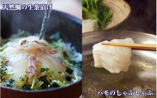 ふるさと納税 国東市 国東海鮮「天然鯛・たこ・はも」の贅沢しゃぶしゃぶセット_29001C 国東海鮮おススメ2種のしゃぶしゃぶ「たこ\u0026はも」_29012B | 大分県国東