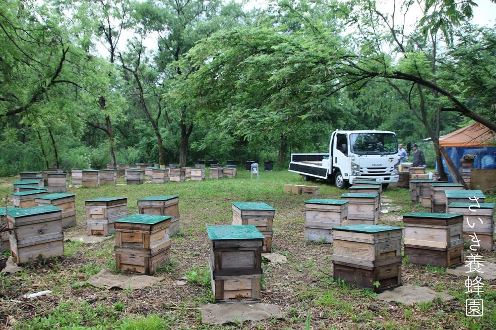 ふるさと納税 さいき養蜂園 天然ピュアはちみつお試しセット 135g×5種