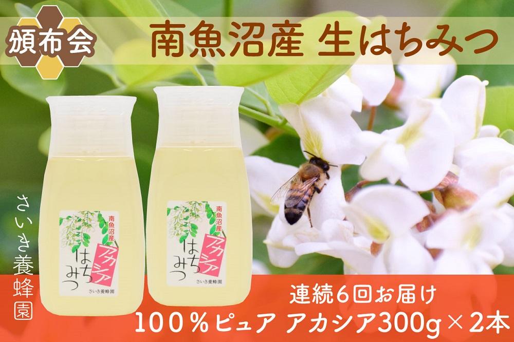 【頒布会】さいき養蜂園　　天然ピュア蜂蜜　アカシア３００ｇ×２本　6か月連続お届け